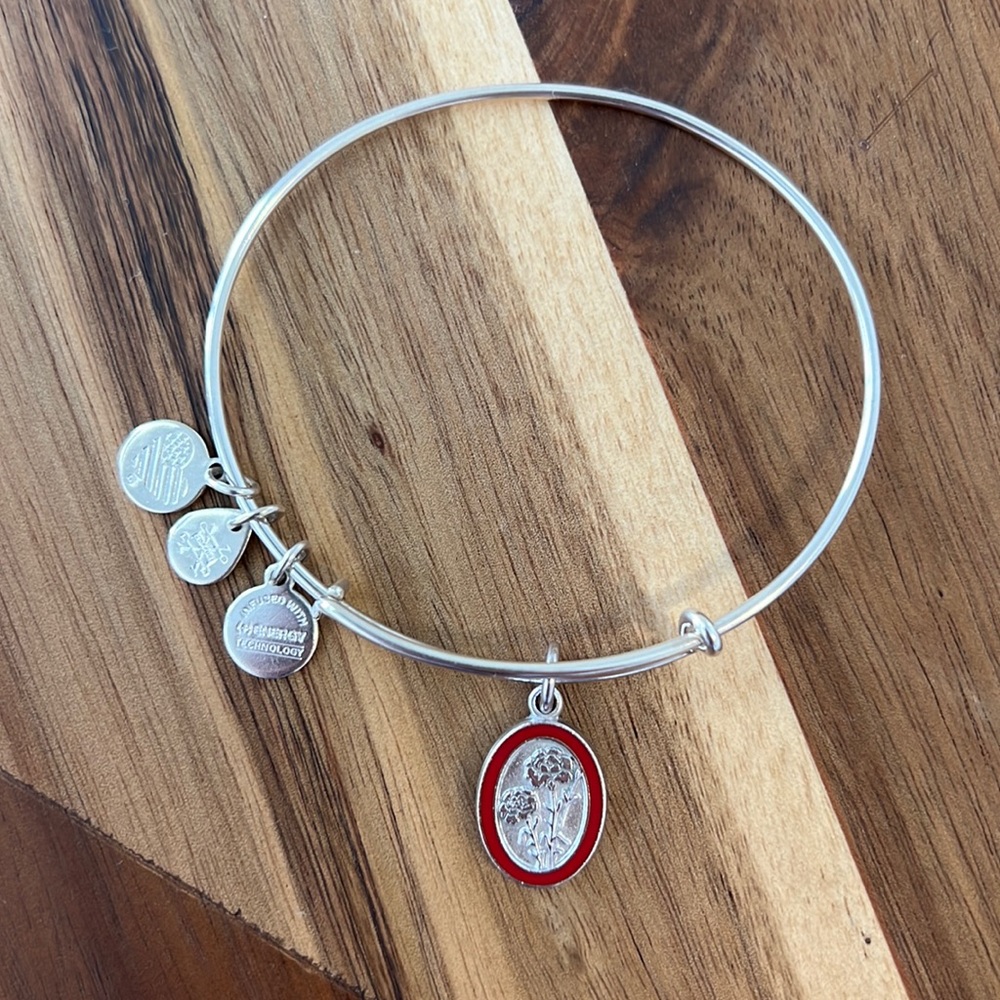 Alex and Ani 2020 “Carnation” January bangle of the month.